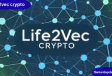 life2vec crypto