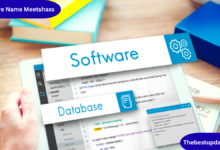 Software Name Meetshaxs
